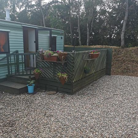 Lochlands caravan park X Villa Forfar Exteriör bild